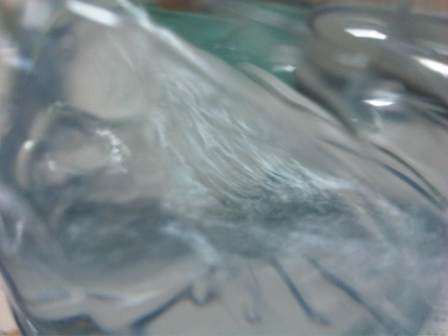 IMG00165-20110606-0916