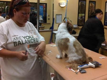 IMG00694-20110910-1410