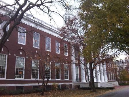 IMG01333-20111113-1537