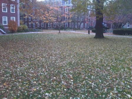 IMG01353-20111113-1552