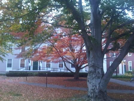 IMG01357-20111113-1553