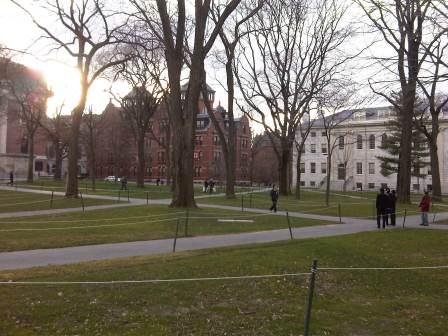 IMG01623-20120108-1500