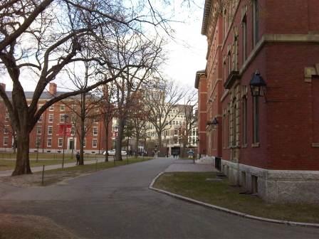 IMG01636-20120108-1503