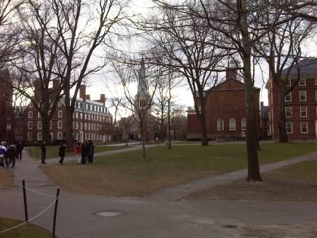 IMG01637-20120108-1503