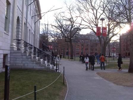 IMG01638-20120108-1503