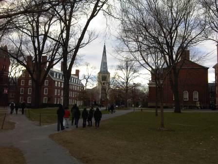 IMG01639-20120108-1503