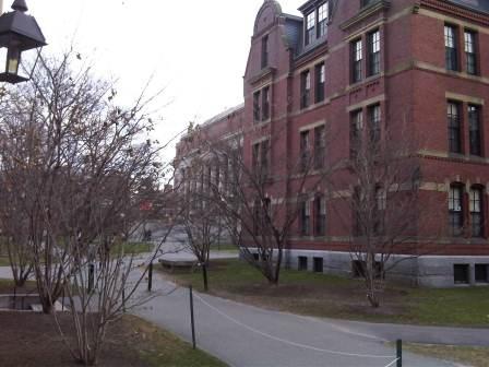 IMG01646-20120108-1505