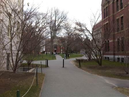 IMG01647-20120108-1505