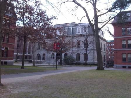 IMG01651-20120108-1505