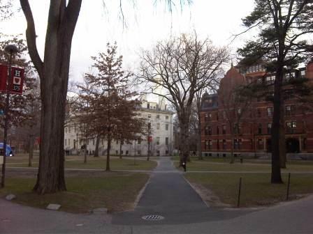 IMG01656-20120108-1507