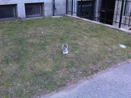 IMG01660-20120108-1508