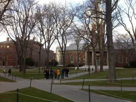 IMG01670-20120108-1511