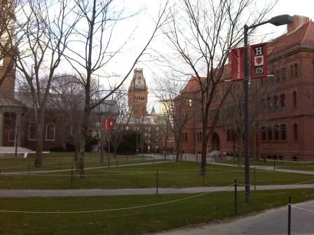 IMG01671-20120108-1511