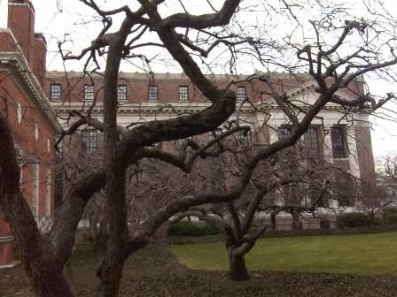 IMG01683-20120108-1513