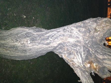 Ах, какой динамичный поворот тела!