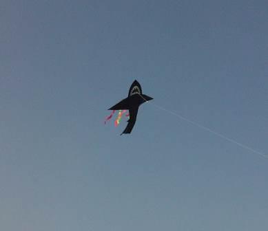 IMG00658-20110904-1601