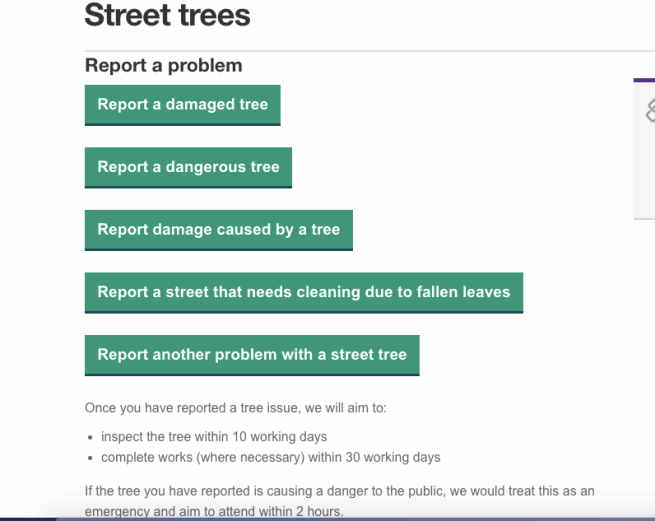 Screen Shot 2018-08-14 at 12.05.26 PM