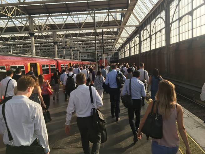 38810207_2252632794966121_1580327152069378048_n