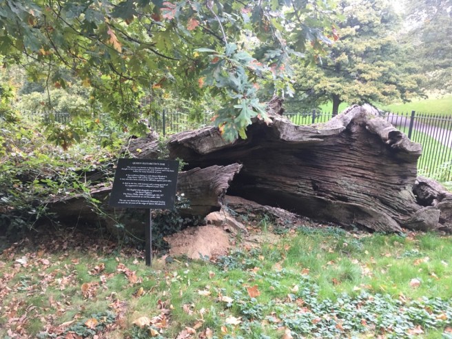 UNADJUSTEDNONRAW_thumb_c61