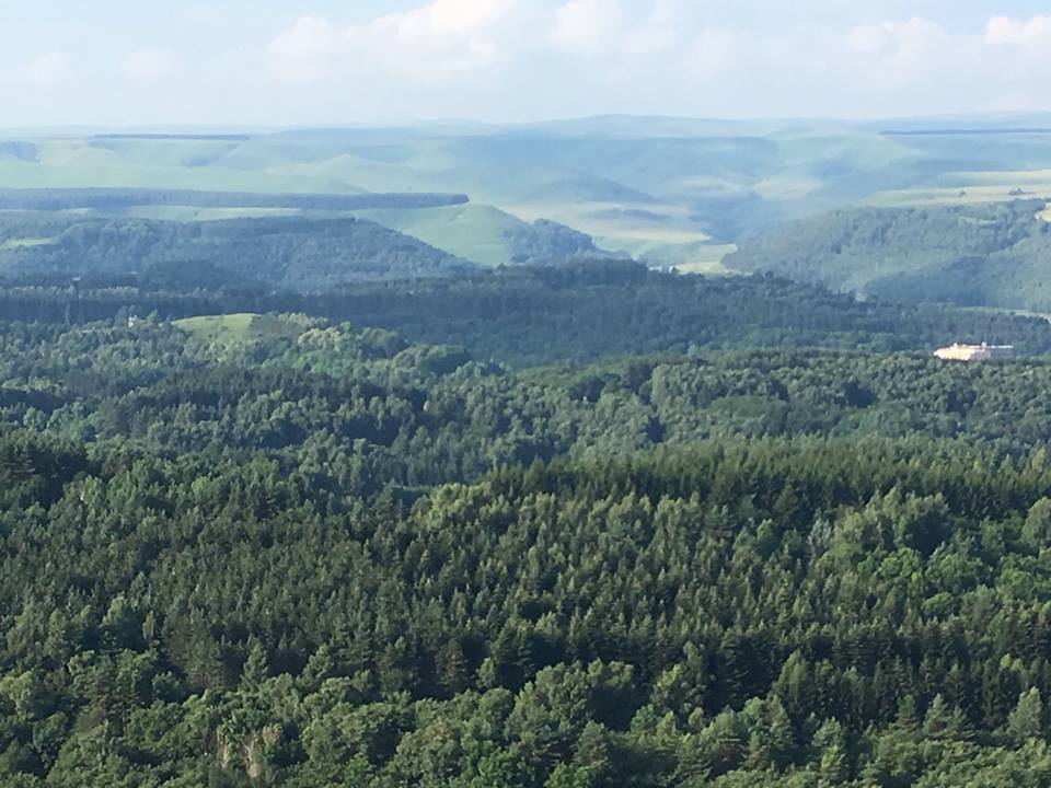 37380436_2229392390623495_934873084505096192_n