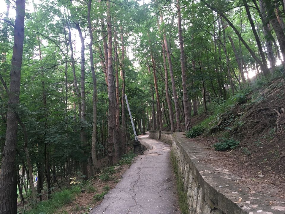 37390793_2229392607290140_8842529160640331776_n