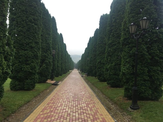 37409028_2229392493956818_2559886970402635776_n