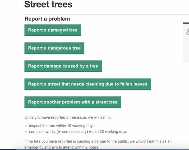 39074208_2257298047832929_7757330829205831680_n